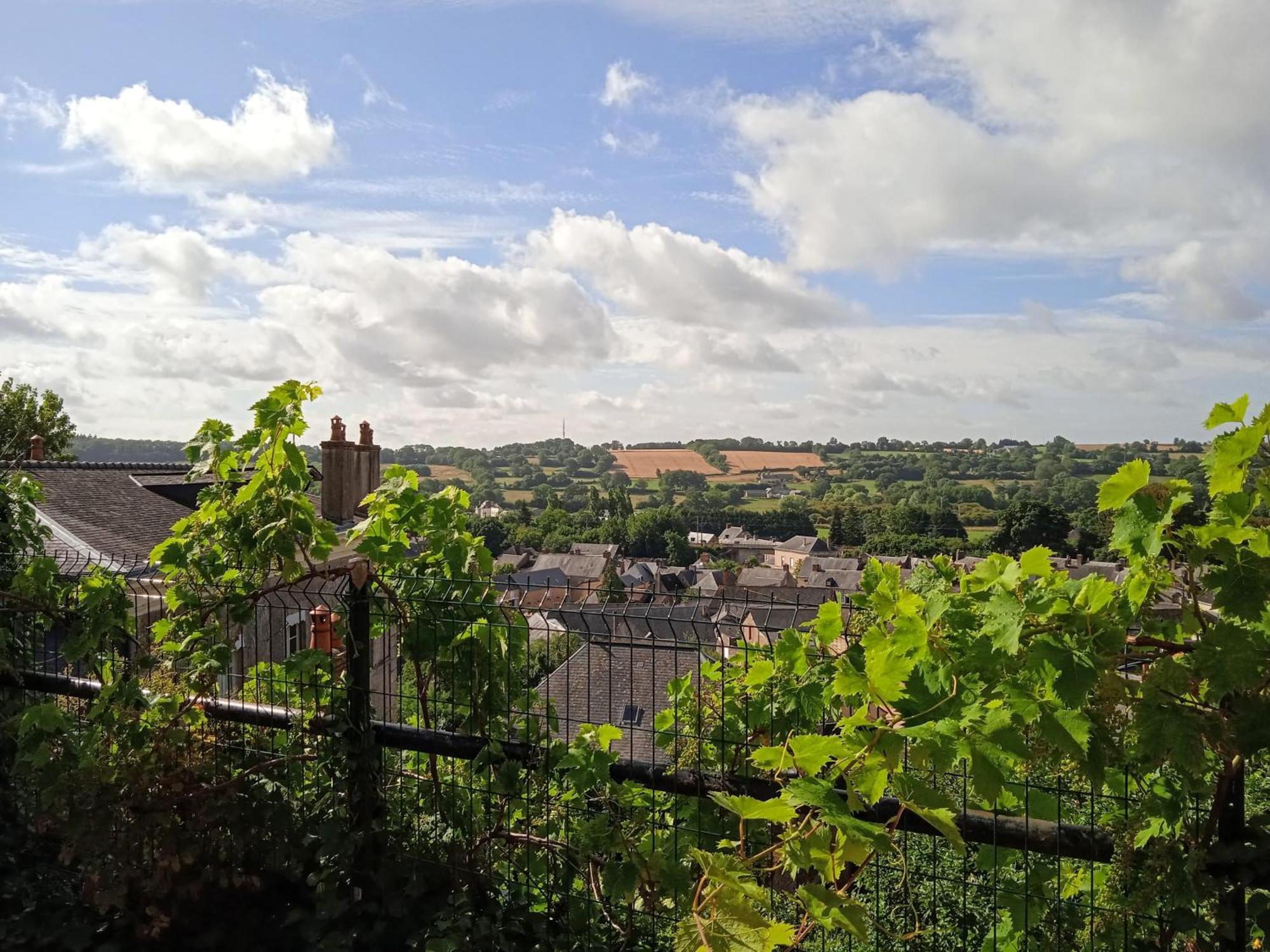 Charming Detached 2 Bedroom Ancient House In Medieval Quarter Of A Small Town In The Pays De La Loire, France Sillé-le-Guillaume Exterior foto